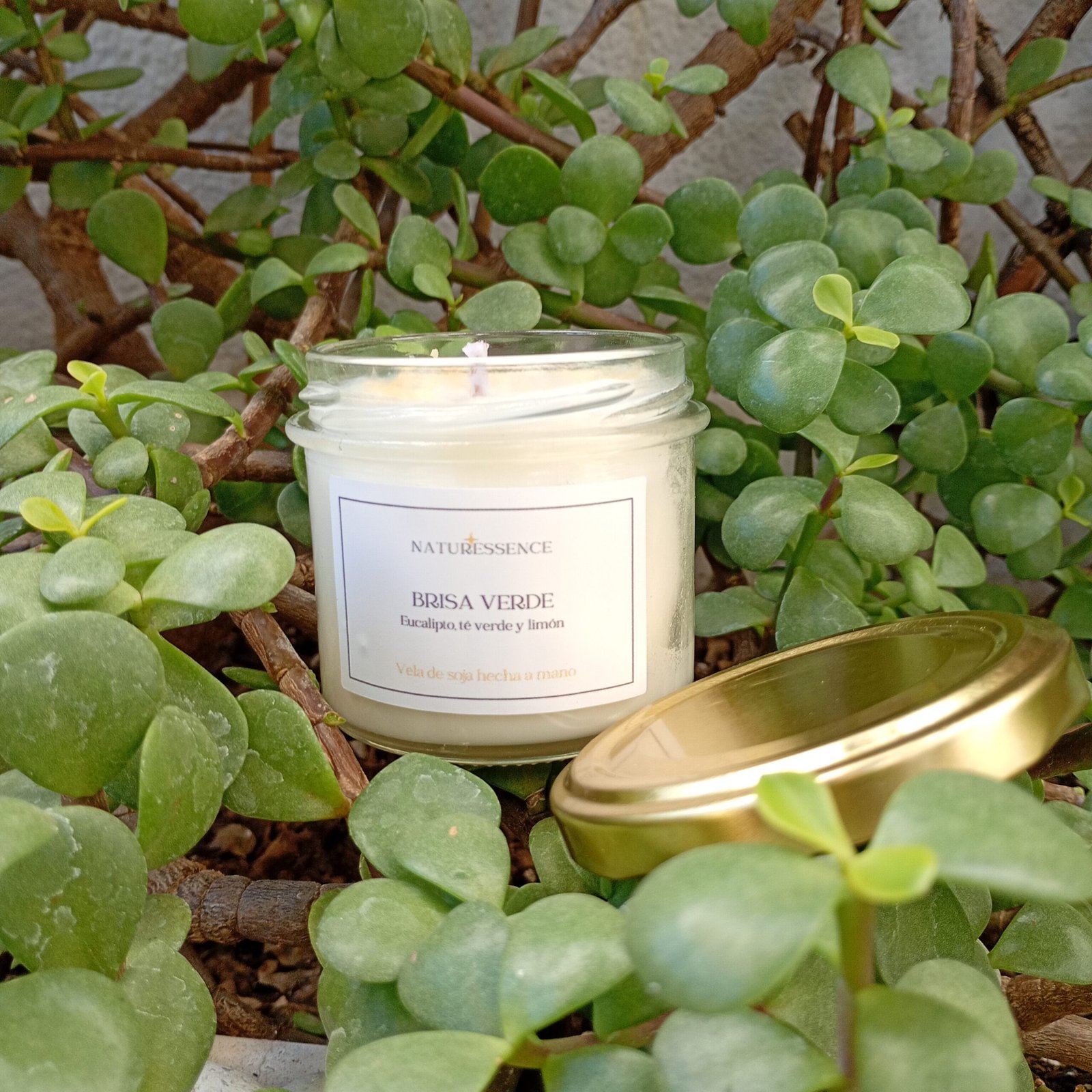 Brisa Verde - Imagen 2