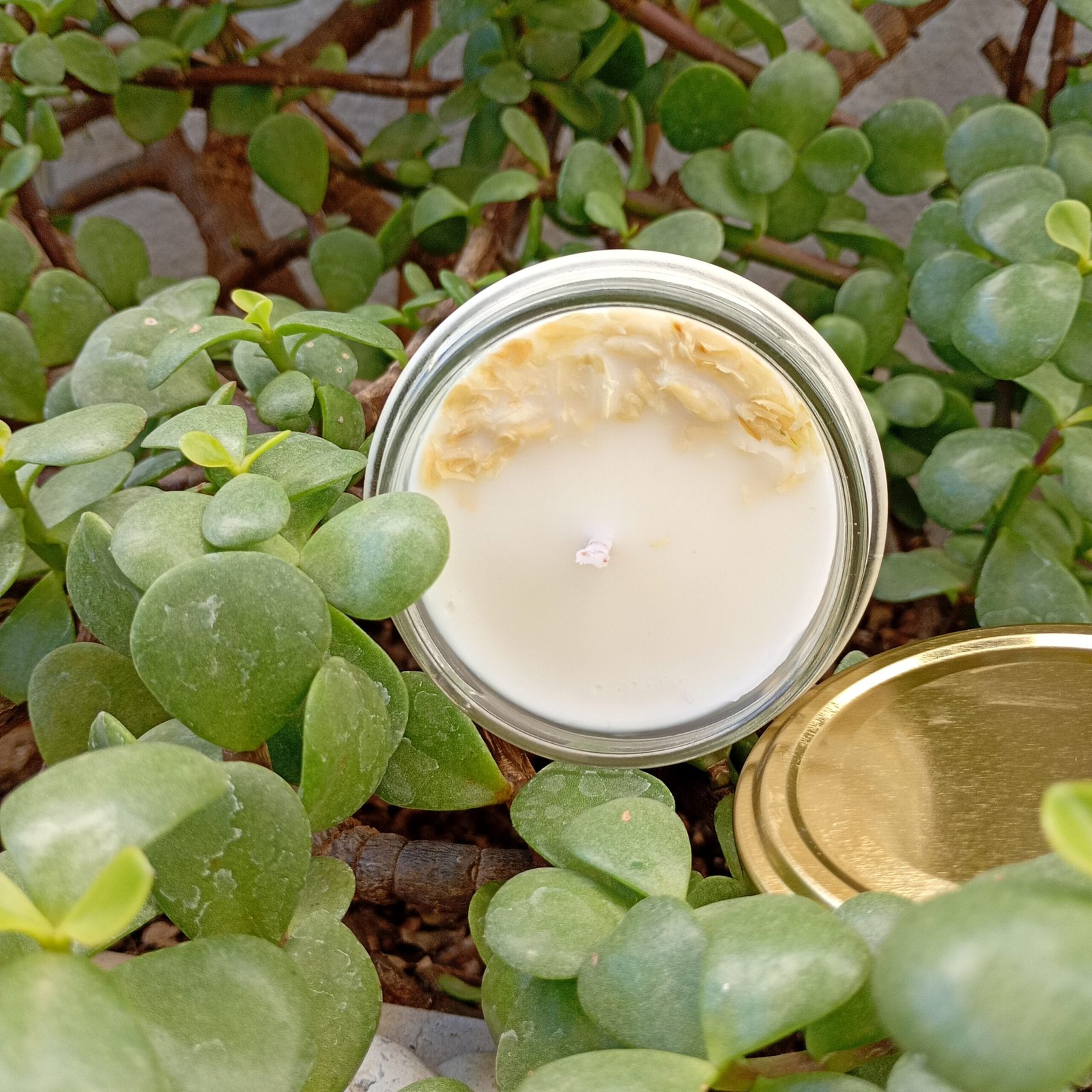 Brisa Verde - Imagen 3