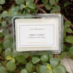 Eucalipto y té verde (concentración)